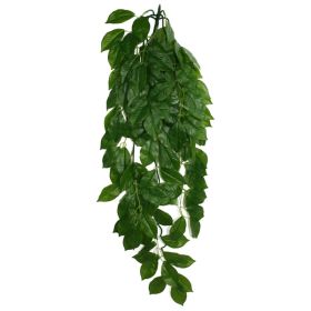 Komodo Green Leaf Hanging Plant 1ea-LG; 26 in